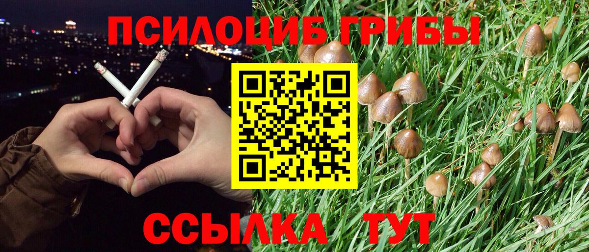 Тавда  Псилоцибиновые грибы мицелий  Псилоцибиновые грибы мицелий  Вход с VPN 